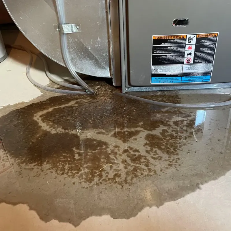 Pipe Burst and Leak Restoration in Vine Grove, KY