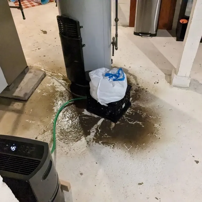 Sewage Backup Cleanup Service in Vine Grove, KY